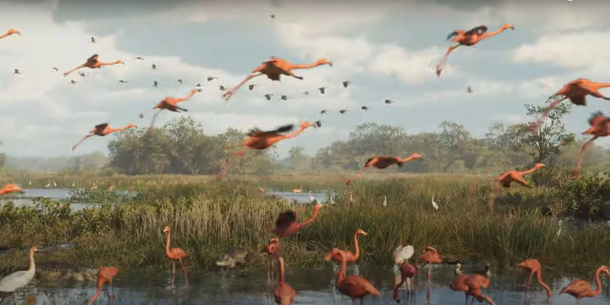 Florida Everglades swampland in GTA 6